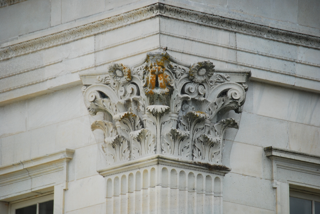 DSC_1377.JPG
